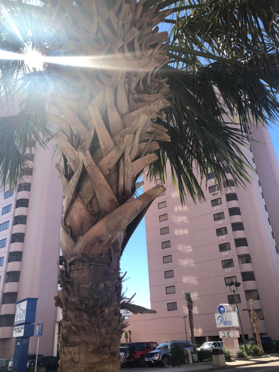 Palms Resort Myrtle Beach Exterior foto